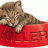 Kitten-Killer